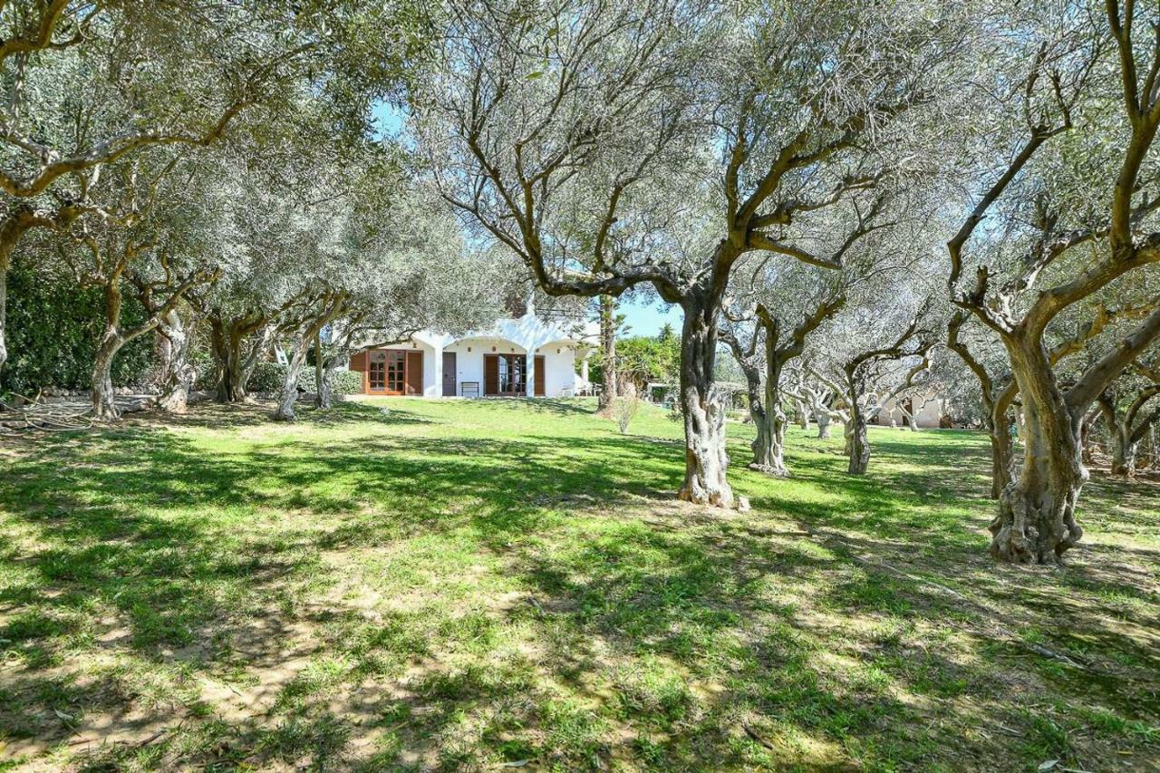 Light-Filled Home With Garden Near Beach Anavyssos Exterior foto