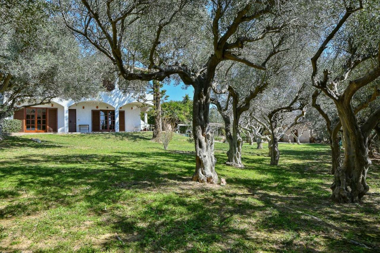 Light-Filled Home With Garden Near Beach Anavyssos Exterior foto